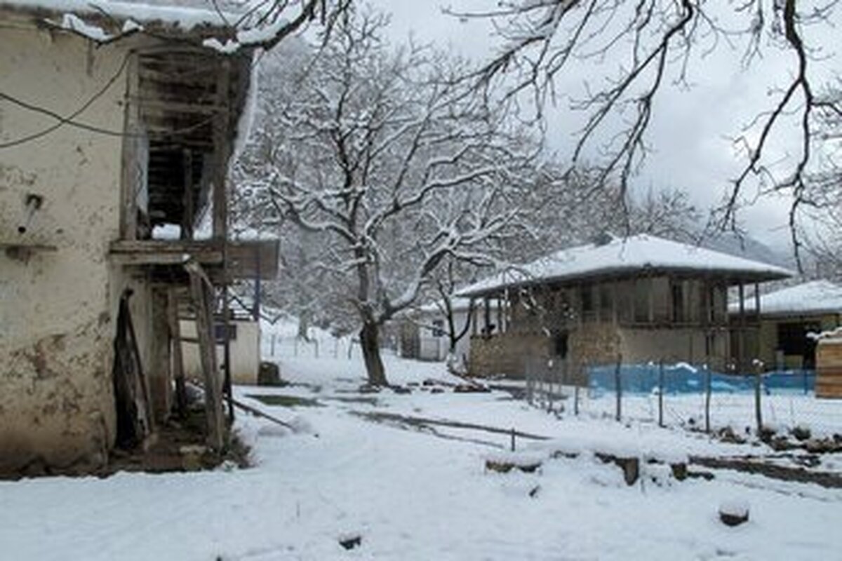 ویدئویی زیبا از چهره برفی پارک ملی گلستان