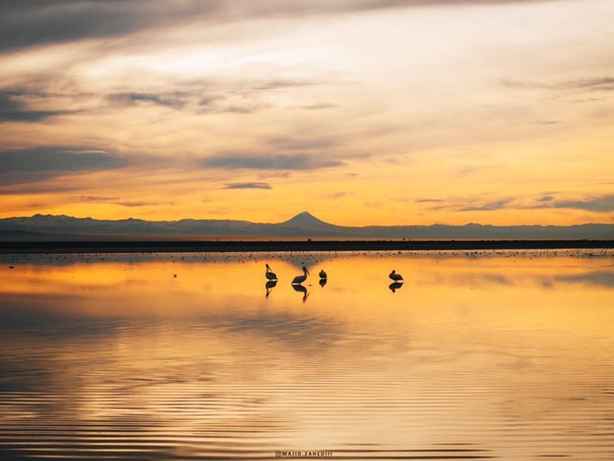 بارش شدید برف مردم رشت را غافلگیر کرد