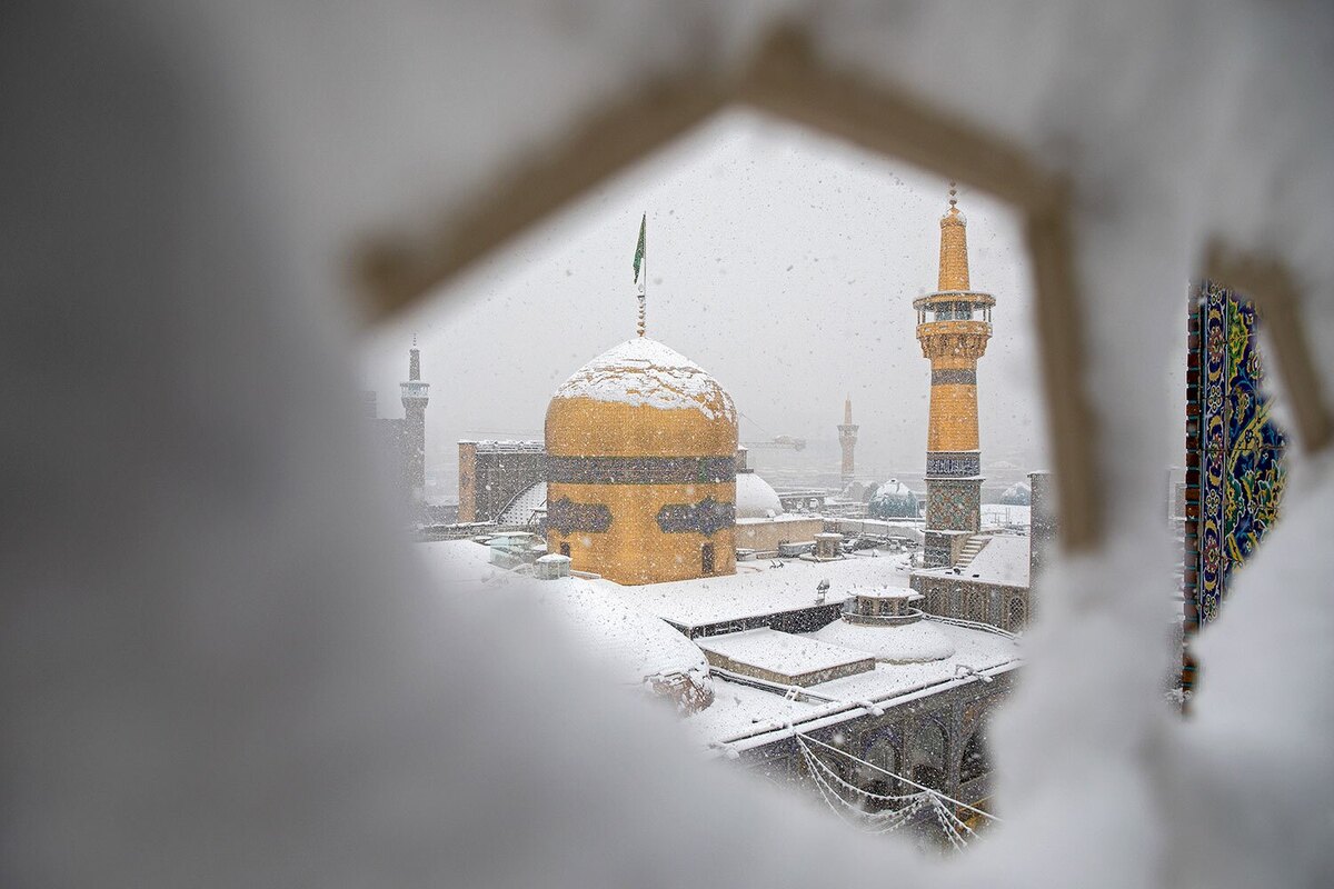 ویدئویی زیبا از چهره برفی پارک ملی گلستان