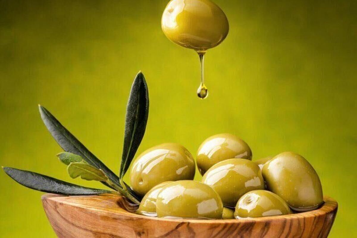 خواص معجزهگر زیتون