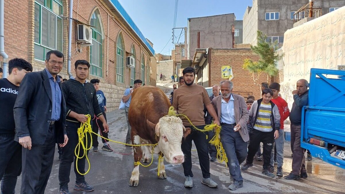 در این روستا یک شب در سال همه کوفته می خورند+عکس