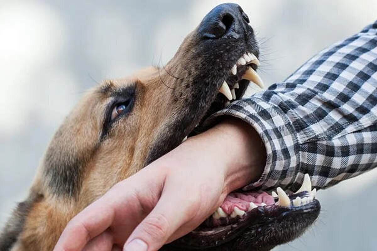 تصاویر/ زندگی جاری‌ست؛ یک روز در بیمارستان کودکان مفید - تهران