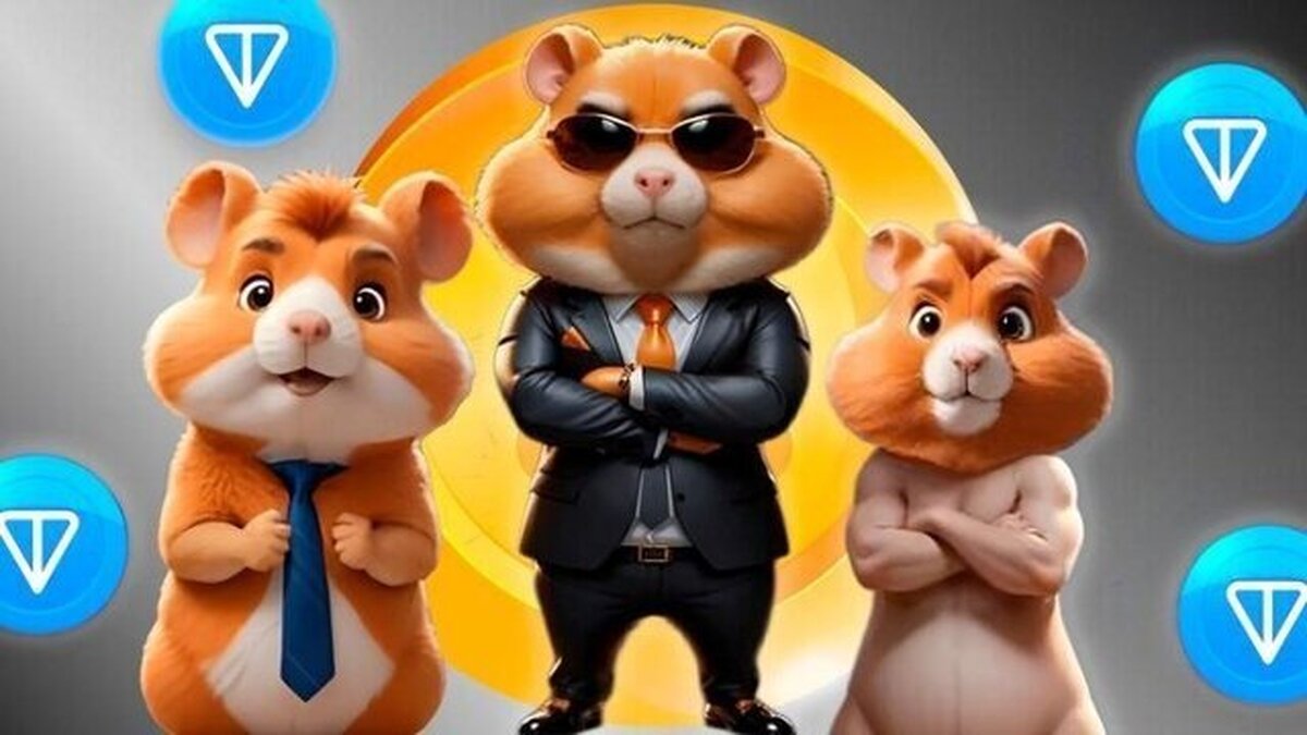 همستر کامبت درباره شرایط دریافت ایردراپ توضیح میدهد