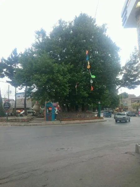 بازماندگان نادرشاه افشار در شاندیز
