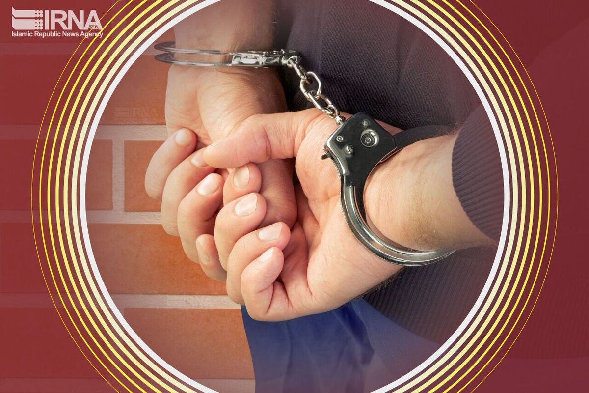 شرور مسلح نارمک دستگیر شد