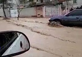 فیلم| جاری شدن سیلاب در «کیان آباد» شیراز