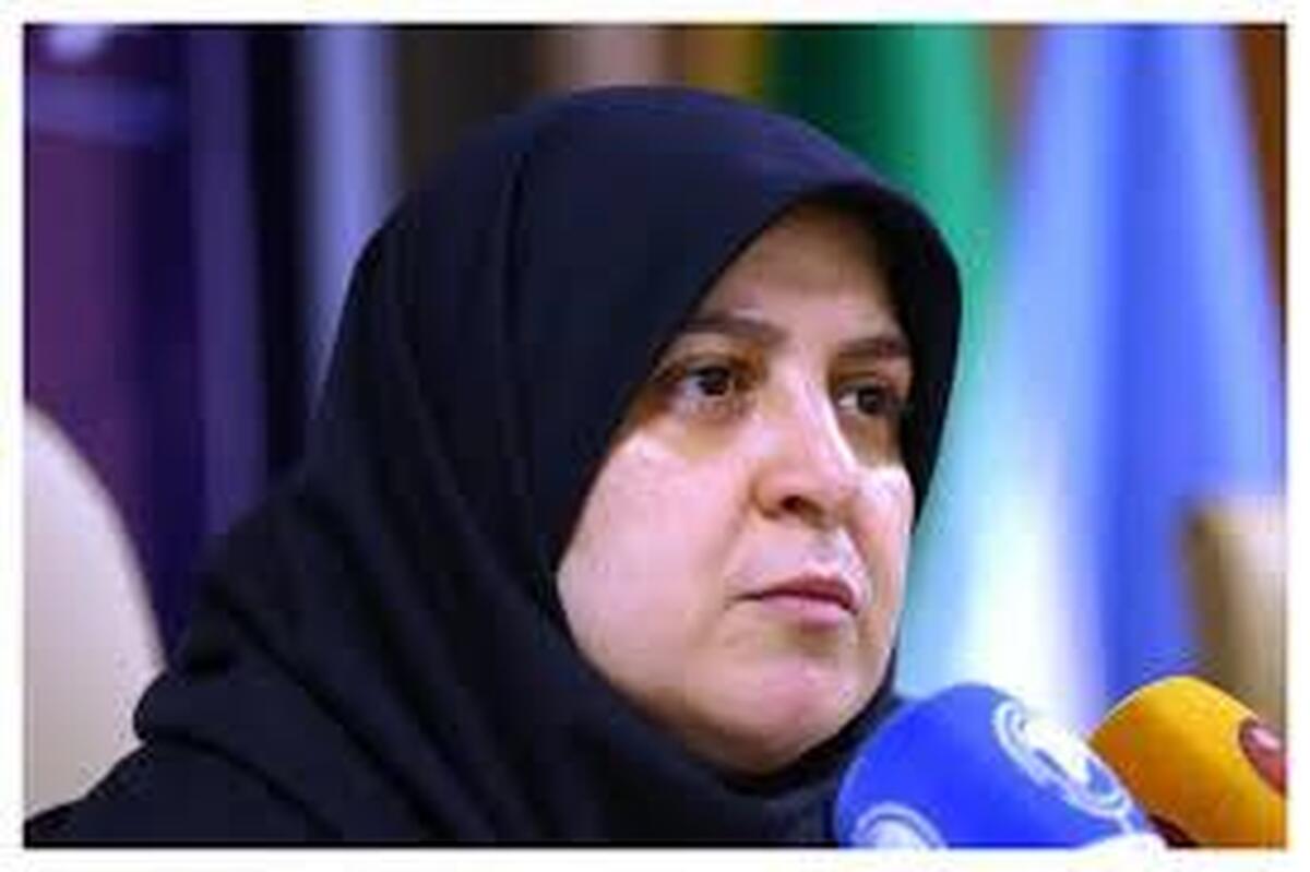 مهاجرانی: بهانهای برای عدم ساخت مسکن های حمایتی وجود ندارد