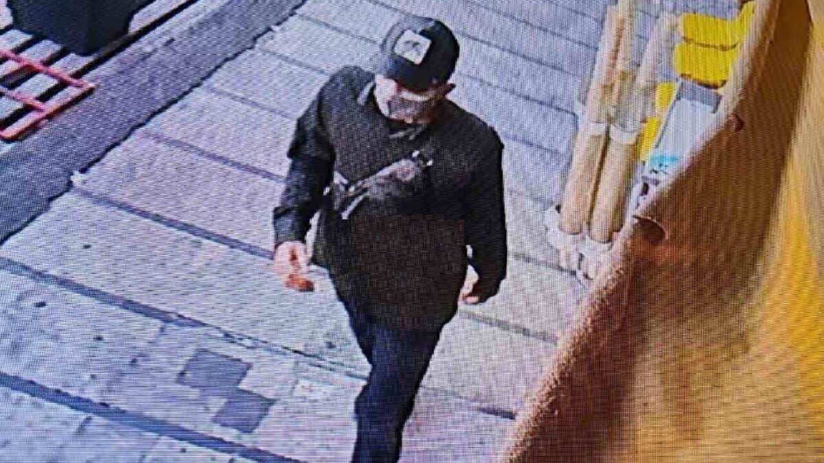 موبایل قاپ معروف تهران دستگیر شد‌