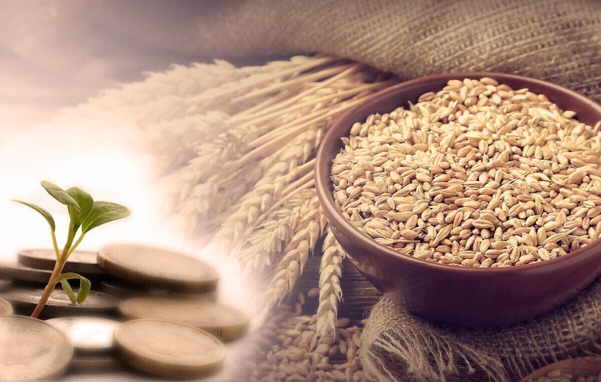 اعلام میزان فطریه از سوی رهبر انقلاب و مراجع تقلید