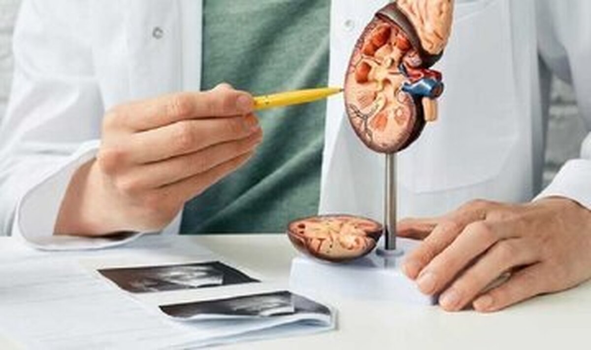 این رژیم غذایی خطر ابتلا به سنگ کلیه را افزایش می‌دهد