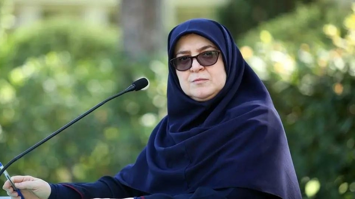 مهاجرانی: مذاکره مطلوب ایران گفت‌وگوی دقیق و بدون هیاهو است