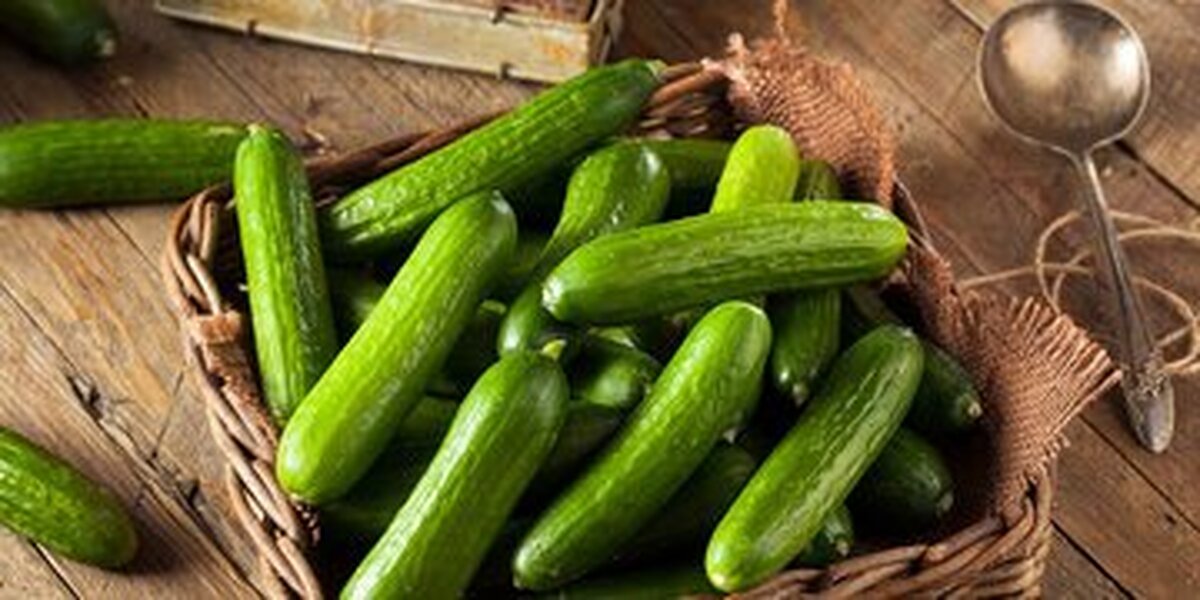 ۷ خاصیت شگفت‌انگیز خیار
