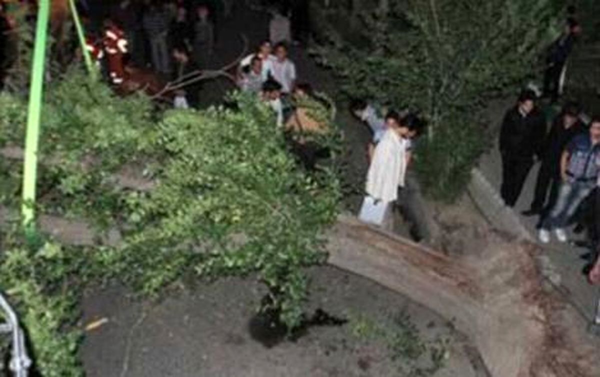 مرگ ۲ کودک در حادثه پارک جنگلی مازندران