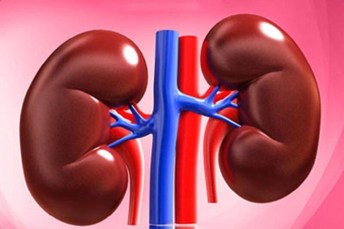 این نوشیدنی دم دستی معجزه ای برای مشکلات کلیوی شماست