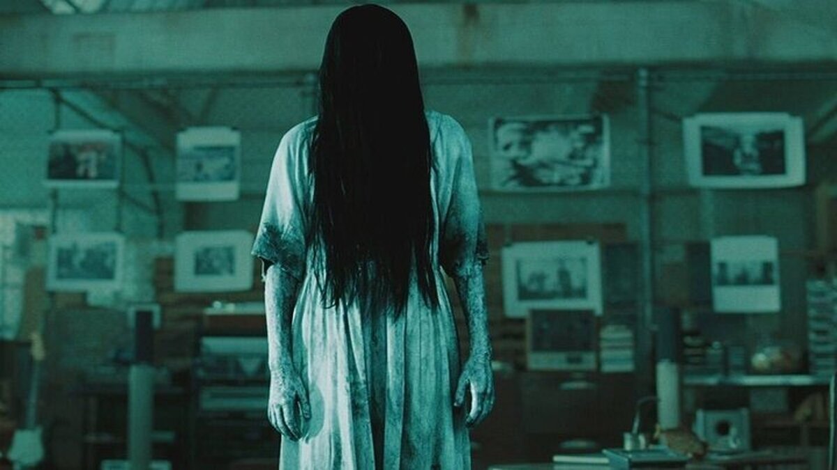 شبکه نمایش افتتاح می‌شود