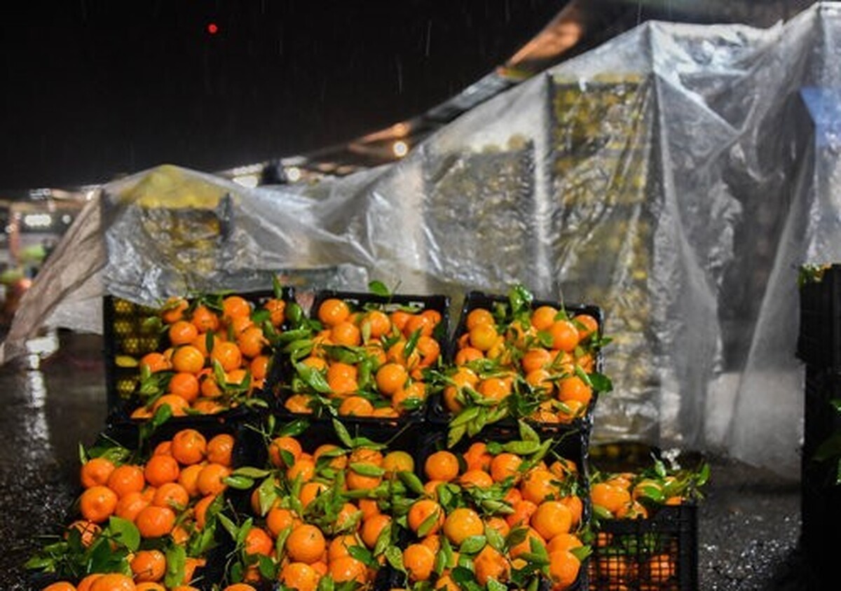 قیمت روز میوه و سبزیجات دوشنبه ۲۴ دی ۱۴۰۳