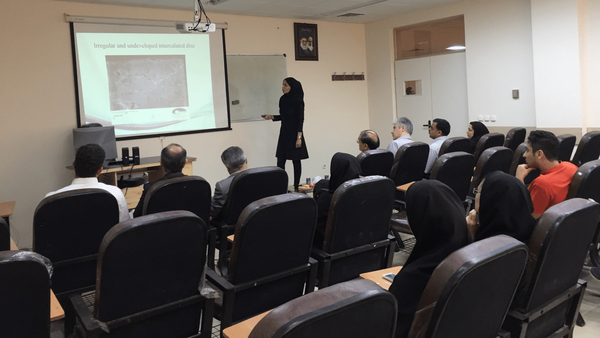 همه دانشگاهها مجازی شد