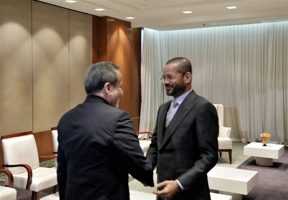 عکس| اولین تصویر از دیدار رسمی عراقچی در ژنو