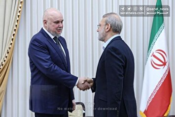 تصاویر| دیدار وزیر انرژی روسیه با دبیر شورای عالی امنیت ملی