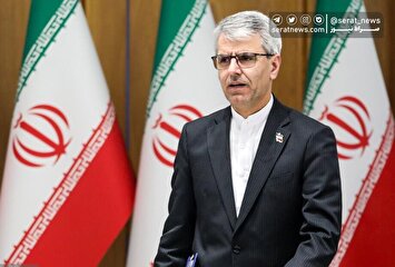 تصاویر| نشست خبری سخنگوی وزارت امور خارجه