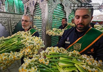 تصاویر| مراسم اعیاد شعبانیه در حرم مطهر حضرت شاهچراغ(ع)