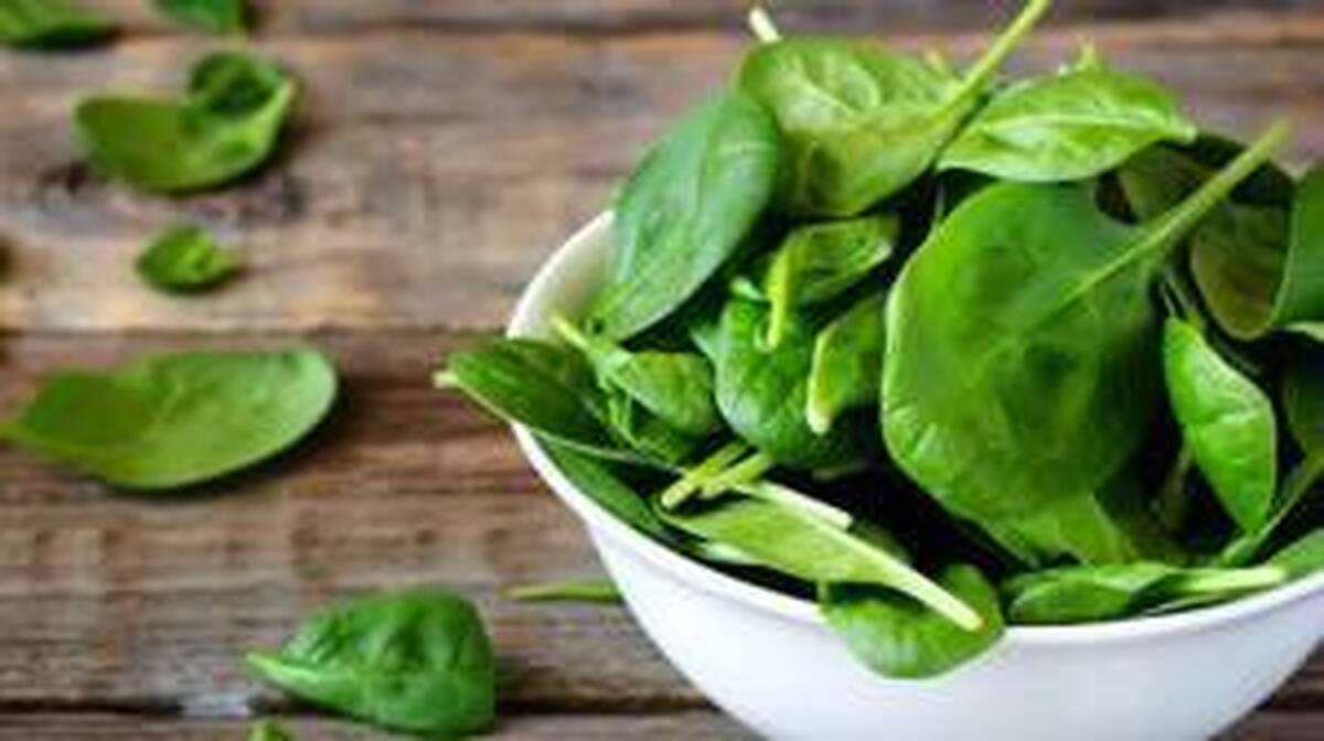 زمان طلایی برای خوردن اسفناج مشخص شد