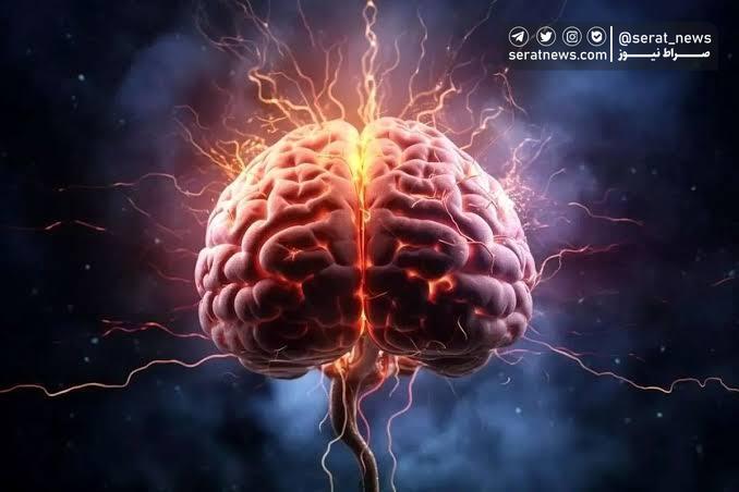 با این فعالیت‌ها از آلزایمر دور شوید