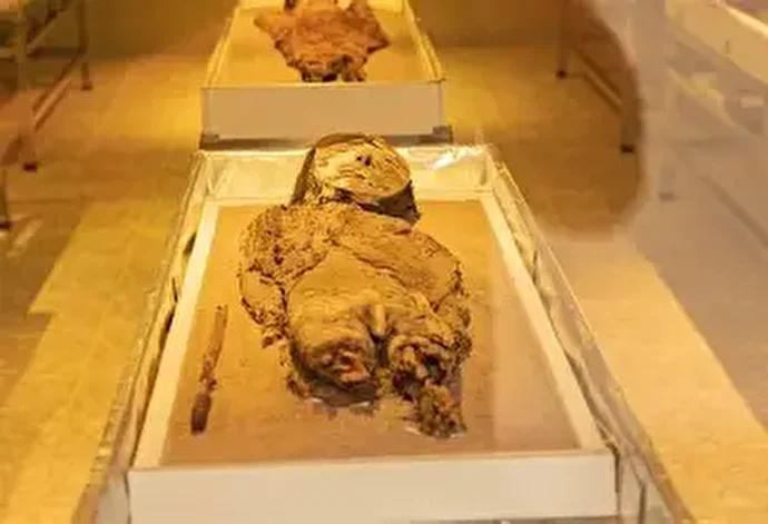 فیلم| بقایای پیکر یک قدیس پس از ۸۰۰ سال به نمایش گذاشته می‌شود