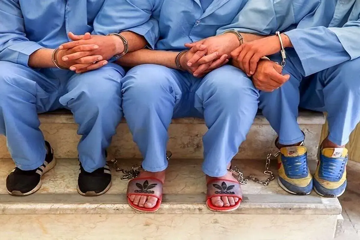 دستگیری ۸ سرشاخه اصلی یک شرکت هرمی با ۱۷ هزار عضو