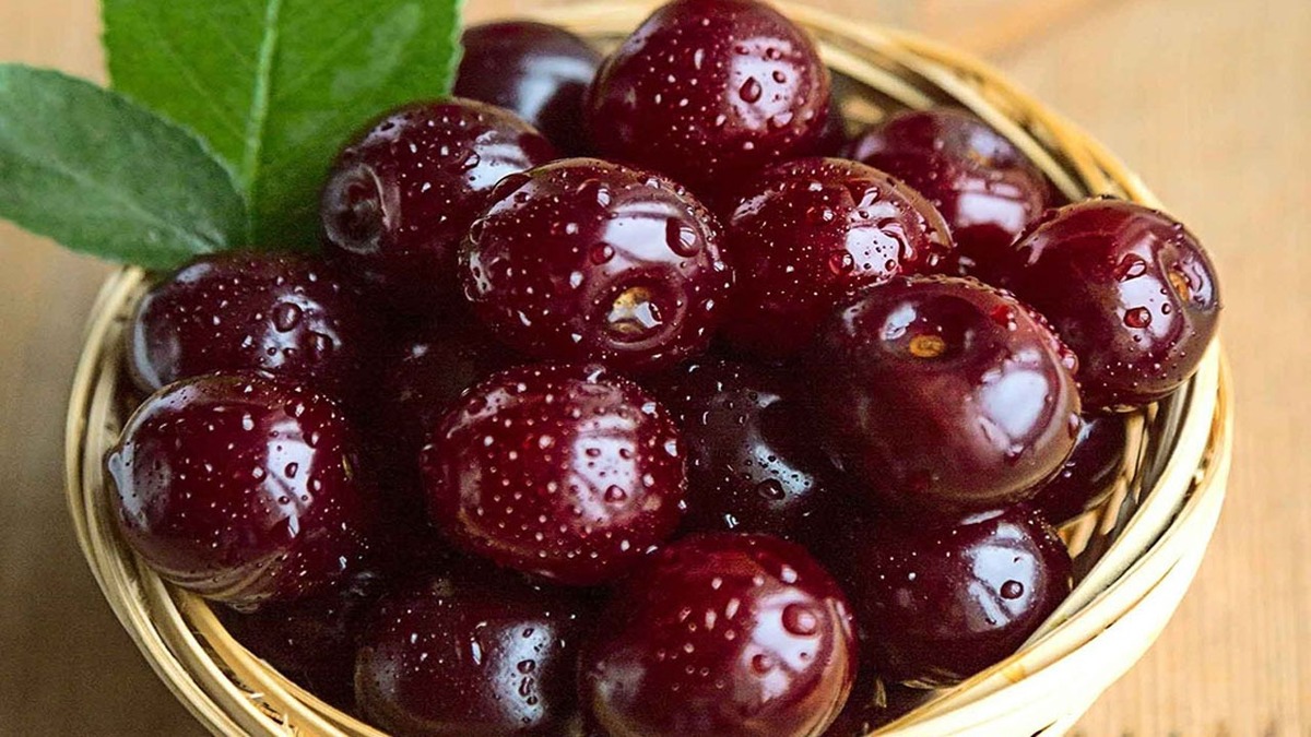 گیلاس کیلویی یک میلیون تومان شد
