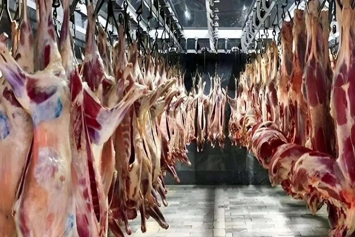 قیمت گوشت قرمز در بازار امروز ۱۰ خرداد ۱۴۰۴؛ راسته گوسفند چند؟