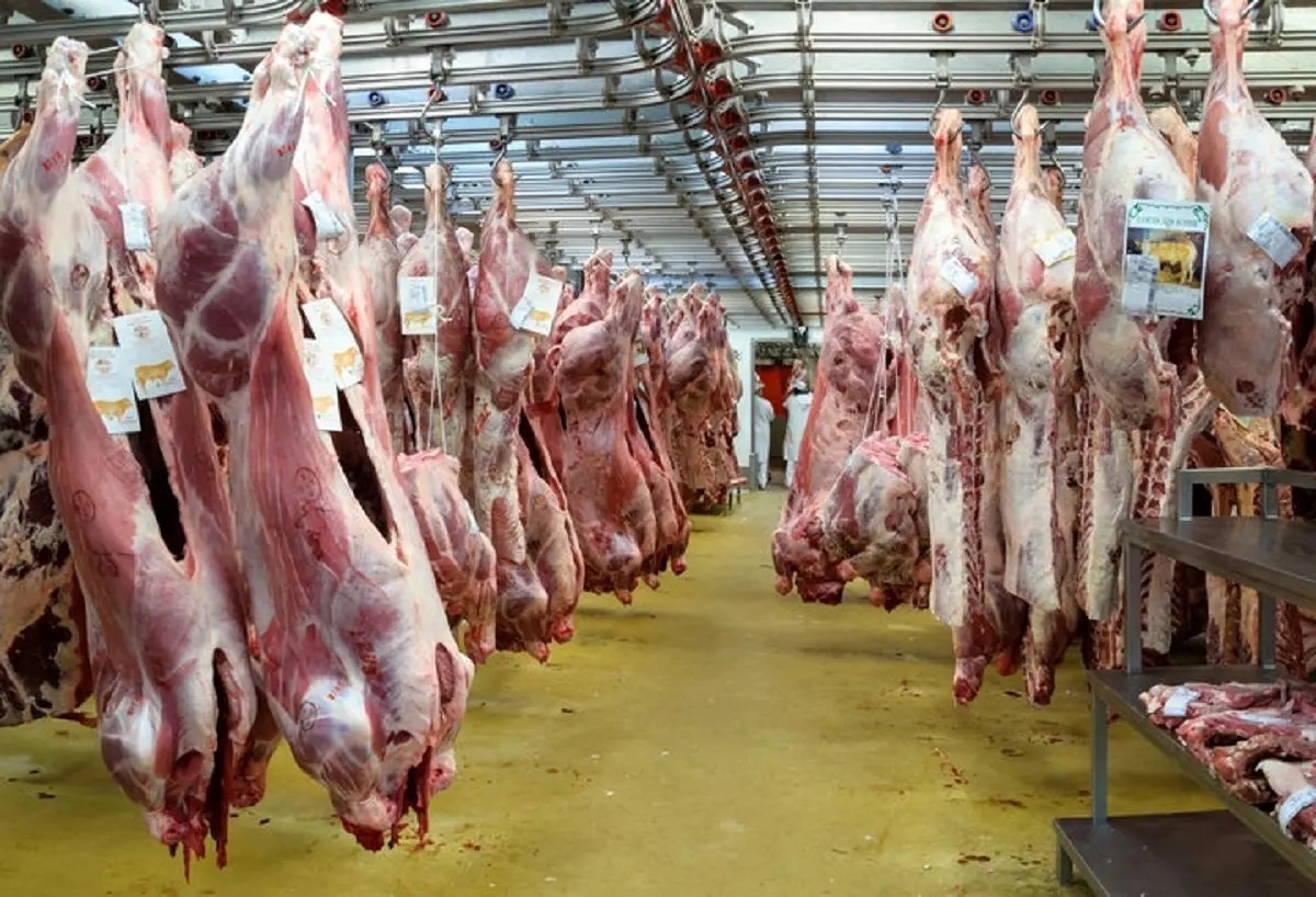 قیمت گوشت قرمز امروز ۱۲ خرداد ۱۴۰۴؛ راسته گوسفندی چند؟