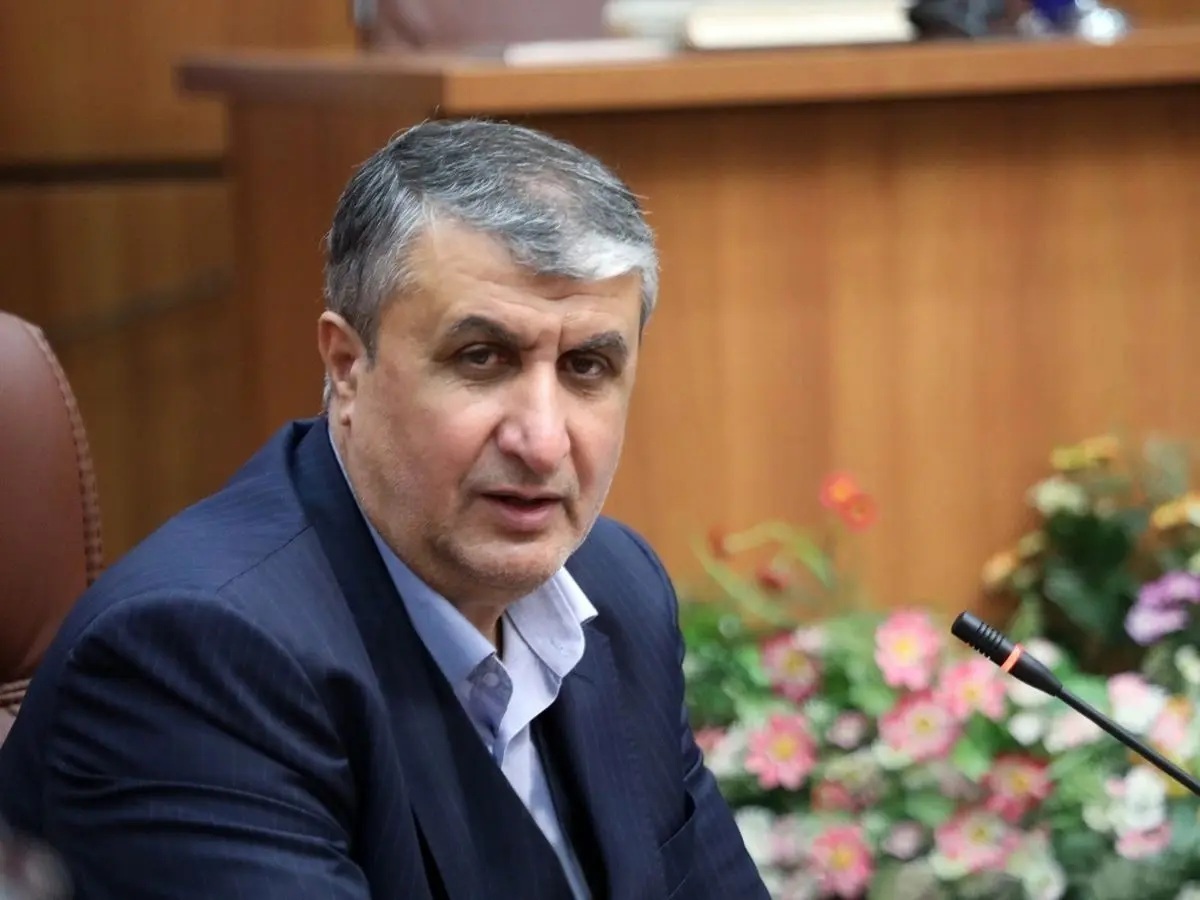ایران به بلوغ کامل در چرخه سوخت هسته‌ای دست یافته است
