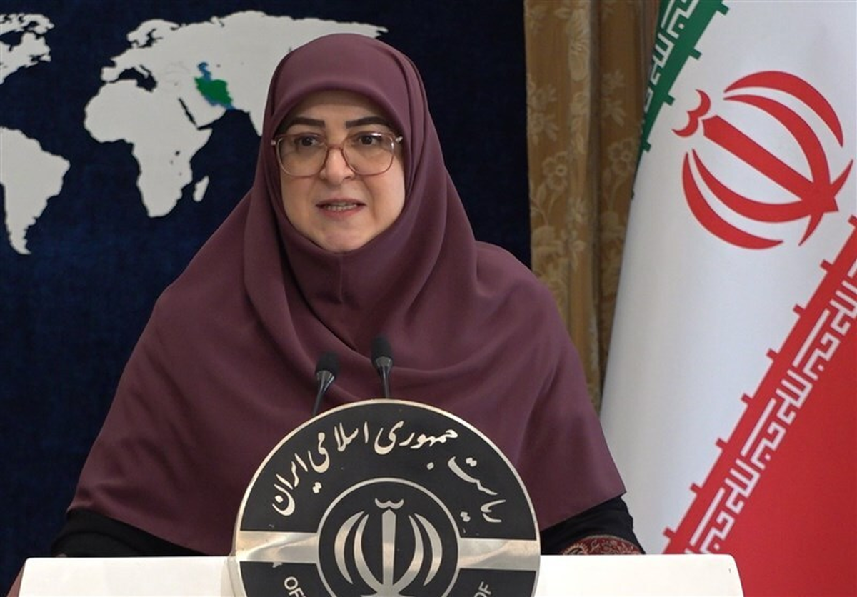 دیدار سخنگوی دولت با خانواده الهه حسین‌نژاد