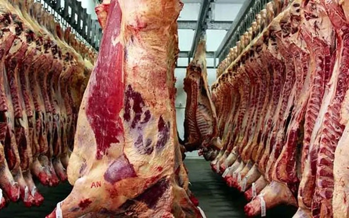 قیمت گوشت قرمز امروز ۱۸ خرداد ۱۴۰۴؛ گوشت گوساله چند؟