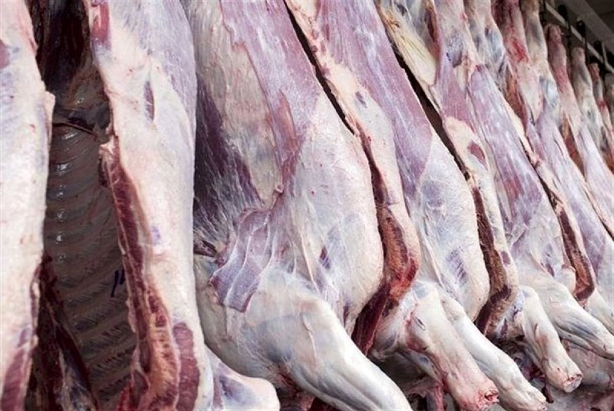 قیمت گوشت قرمز امروز ۱۸ خرداد ۱۴۰۴؛ گوشت گوساله چند؟
