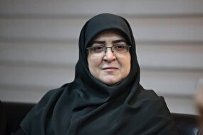 واردات خودرو به تصویب هیات دولت رسید