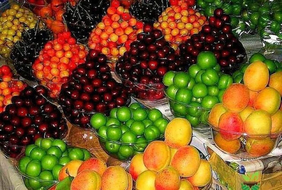 گیلاس و گلابی میوه‌های لوکس‌نشین بازار شدند