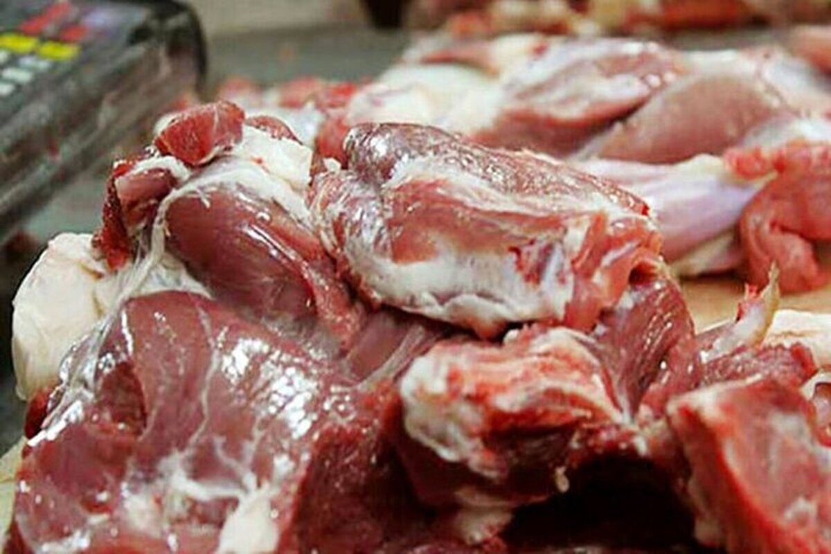قیمت گوشت قرمز امروز ۴ تیر ۱۴۰۴؛ ماهیچه گوسفندی چند؟