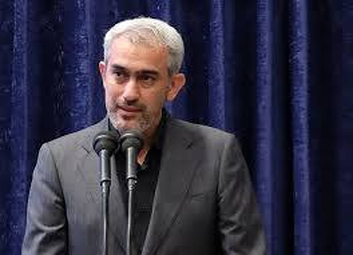 وزیر اقتصاد: صندوق بیمه جبران خسارت تشکیل می شود