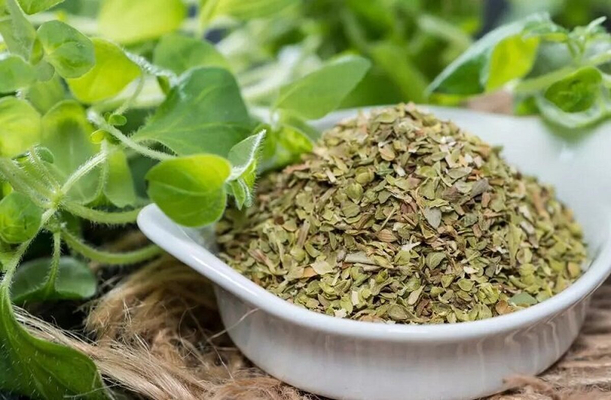 آویشن دارویی مناسب برای شکم درد و آروغ‌های بدبو