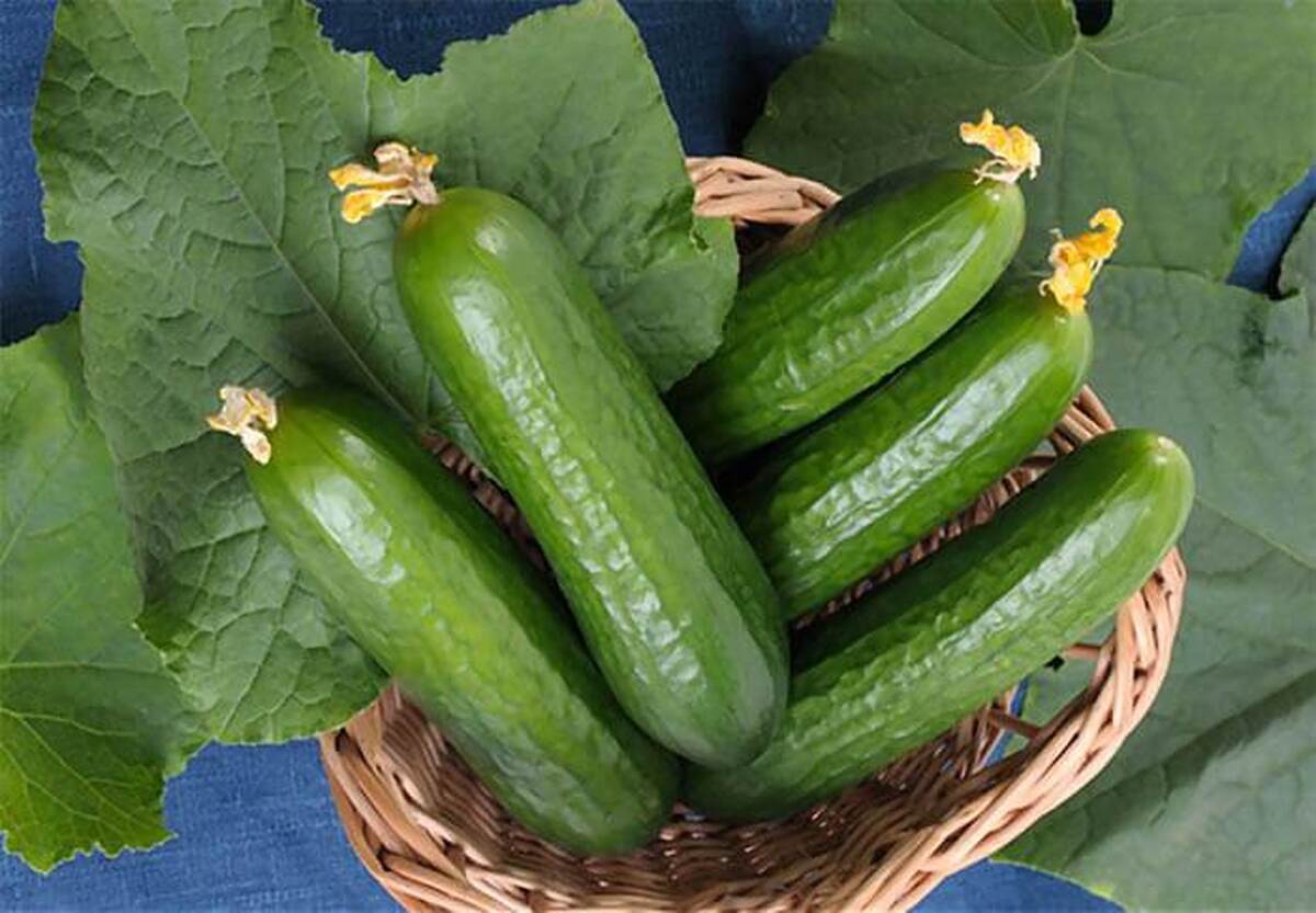 قیمت جدید میوه‌های تابستانی اعلام شد