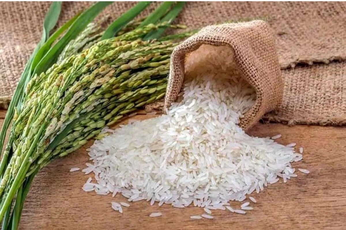 قیمت برنج خارجی امروز ۲۴ مرداد ۱۴۰۴