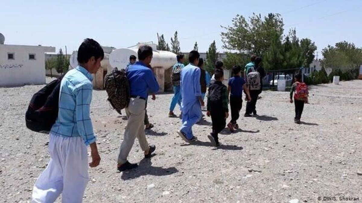 شرط بازگشت اتباع اخراج شده از ایران اعلام شد