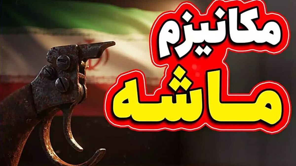 با ماشه بازی نکنید!+ عکس