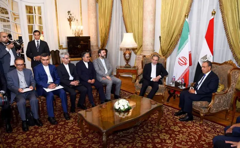 دیدار عراقچی با وزیر خارجه مصر + عکس
