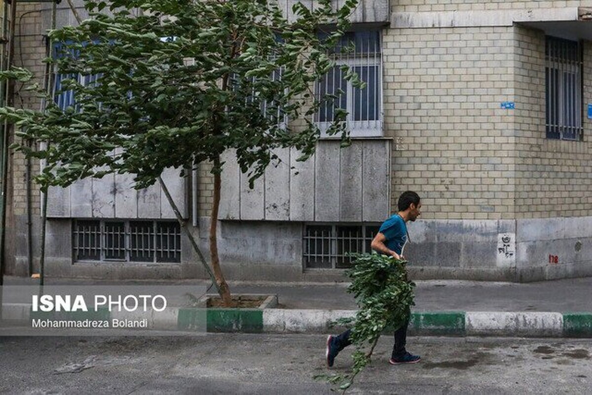 هشدار نسبت به کاهش محسوس دما در تهران