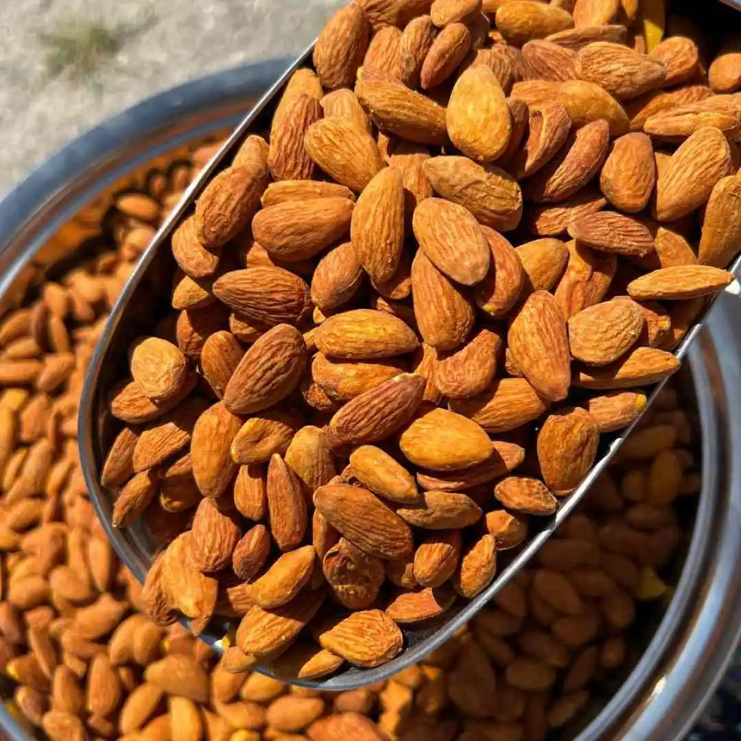 کاهش کلسترول خون با خوردن یک مشت مغز