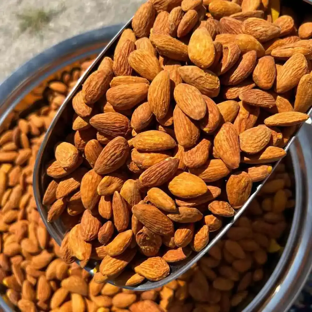 کاهش کلسترول خون با خوردن یک مشت مغز
