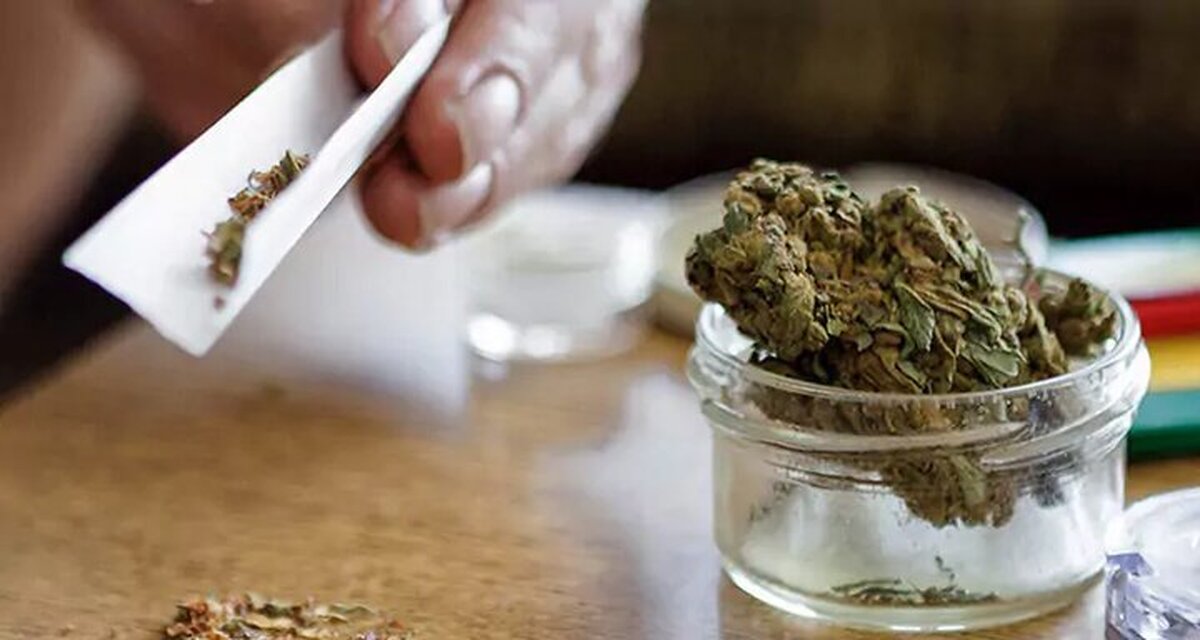۵۱.۹ درصد از مصرفکنندگان گل در گروه سنی جوانان و نوجوانان هستند